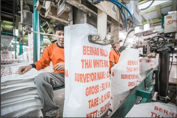 JASMINE RICE (Thai Hom Mali) - Image 4