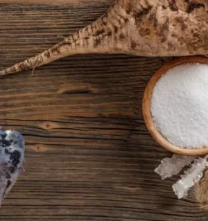 BEET SUGAR