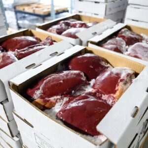 Lamb Liver