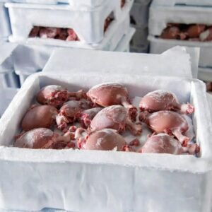 Pork Kidney
