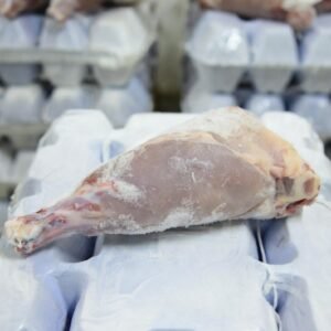 Pork Leg (Pork Ham)