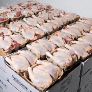 Whole Chicken Griller
