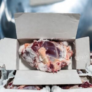 Lamb Heart